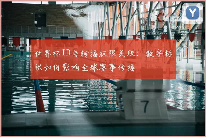 世界杯ID与转播权限关联：数字标识如何影响全球赛事传播