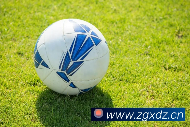 星空官网登录入口发展历程