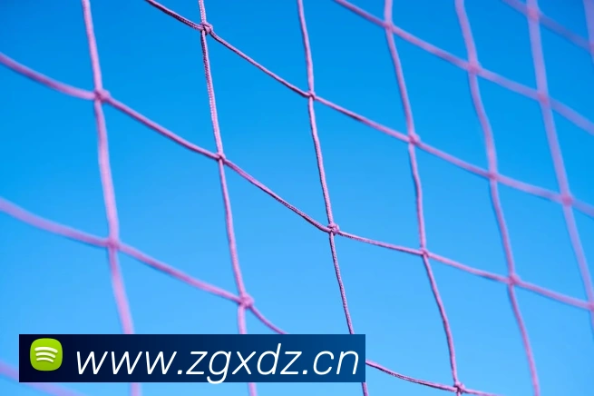 世界杯开幕之夜：CCTV5直播带你直击现场盛典